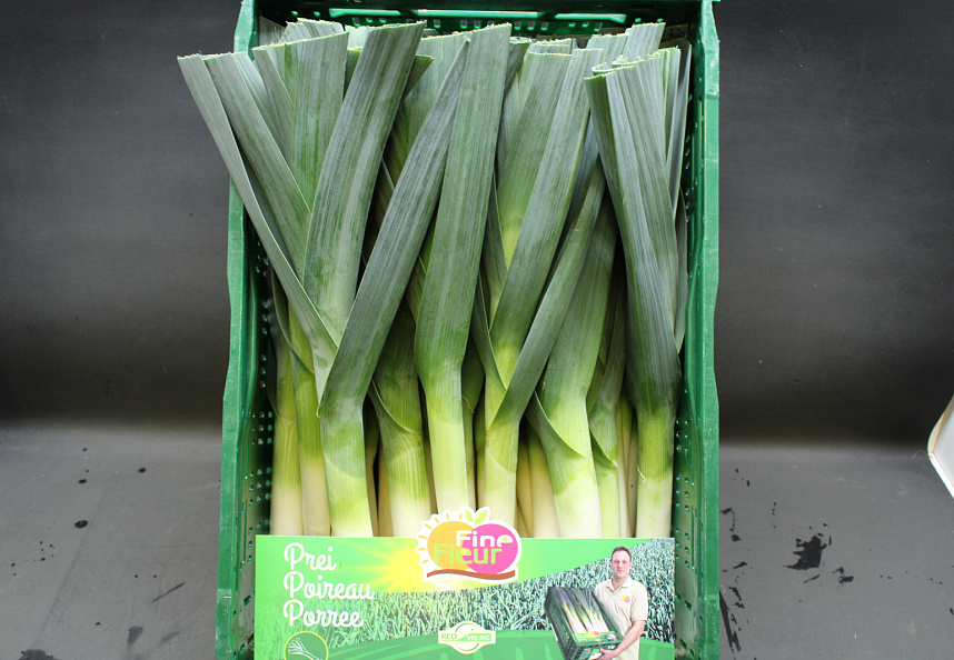 Prei Jong Fine Fleur