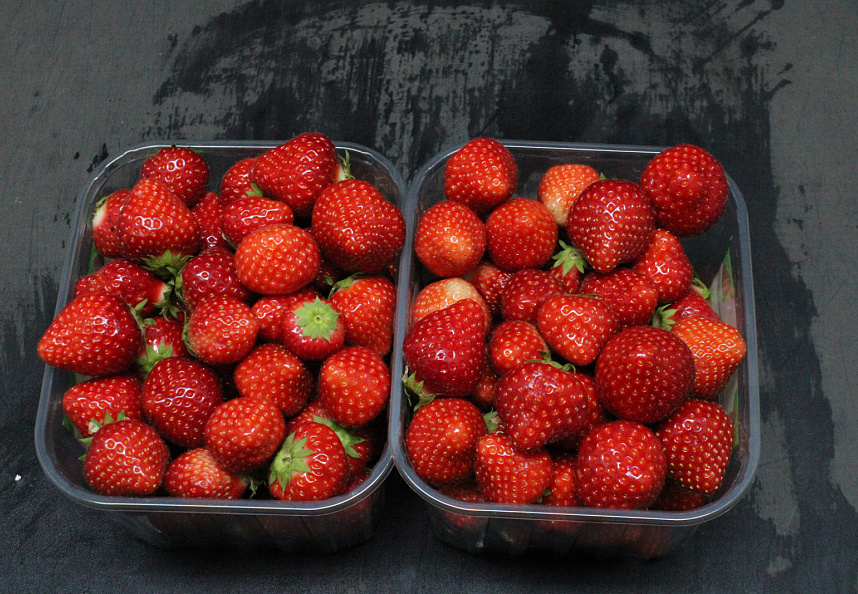 Aardbeien Elsanta