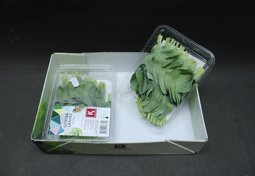 X Oyster Leaves®
