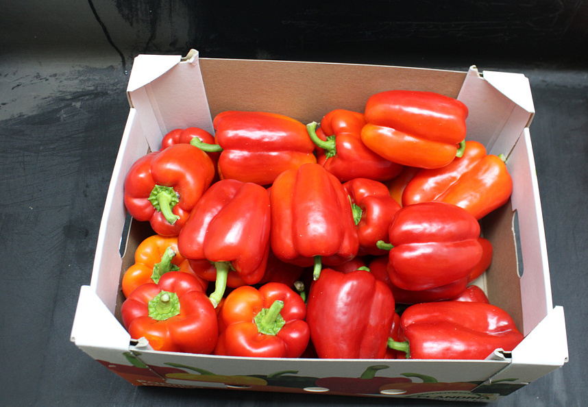 Paprika Rood 85
