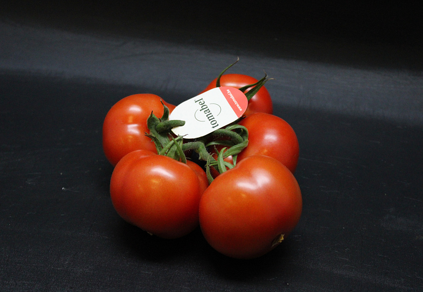 Tomaten Tros Tomabel Supers