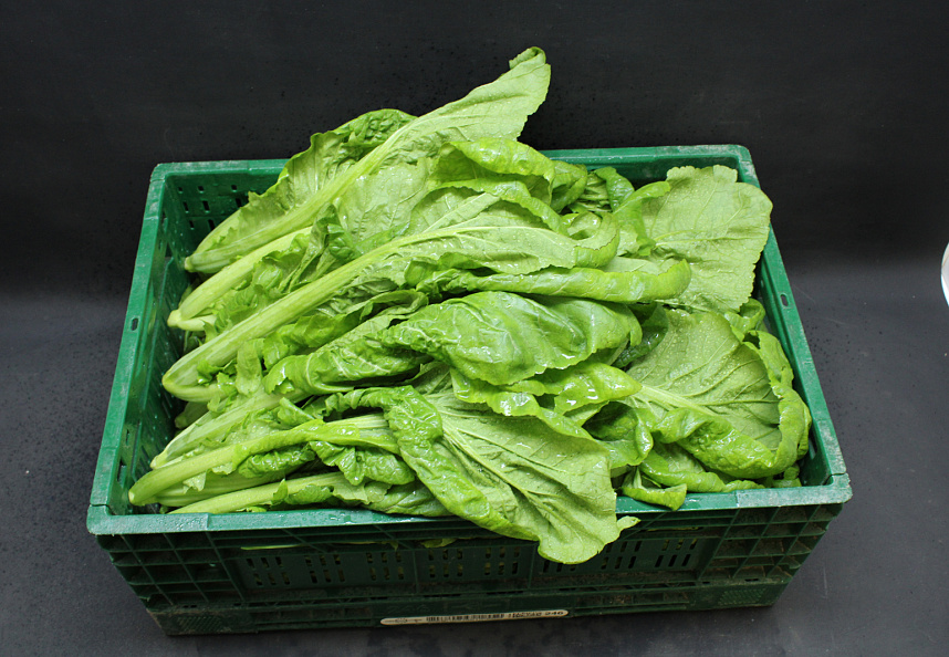 Amsoi