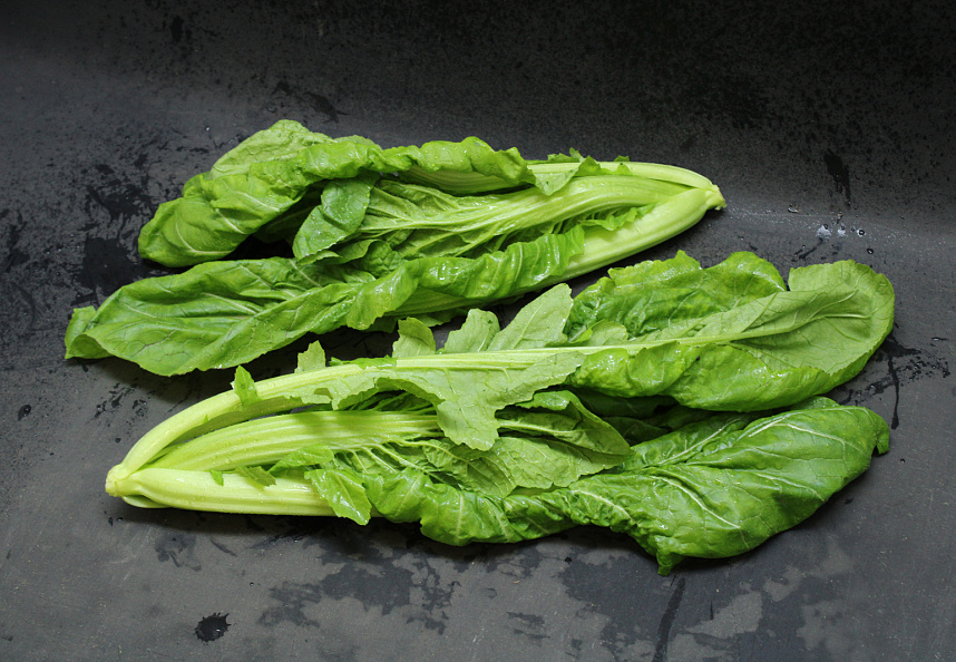 Amsoi