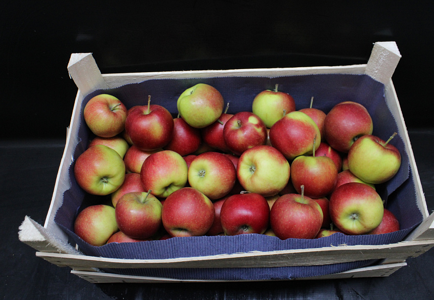 Appels Jonagold
