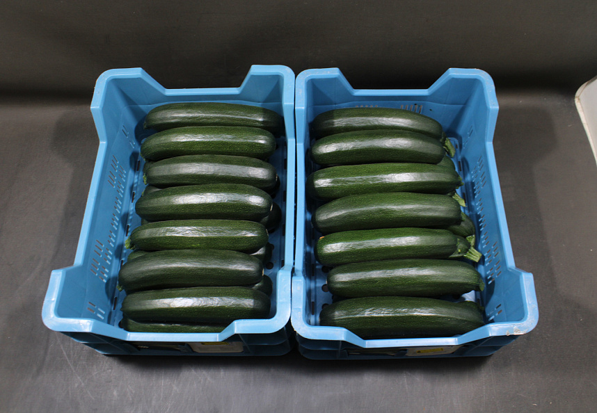 Courgettes 14 st. Kas