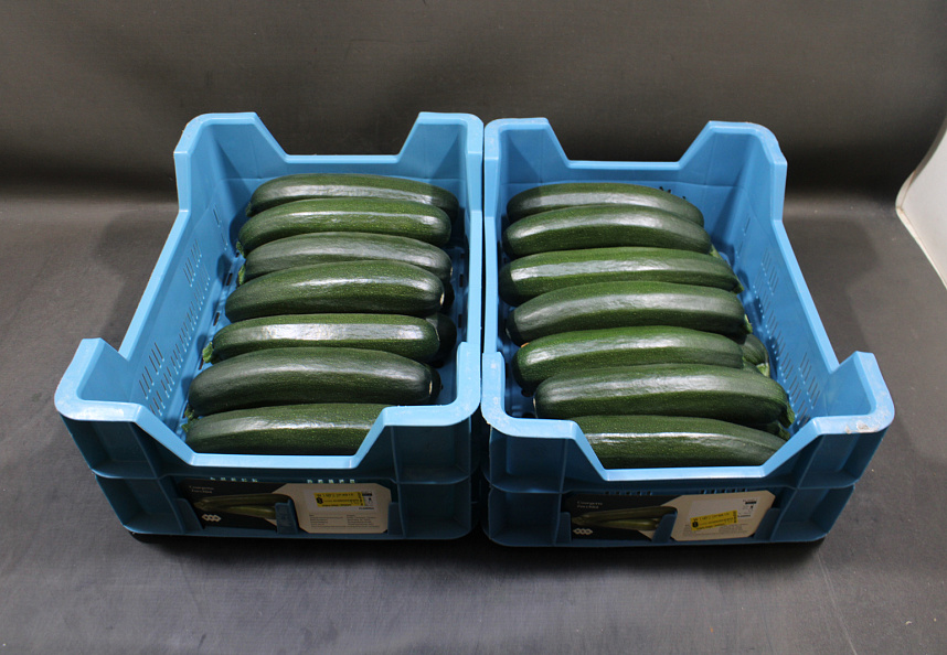 Courgettes 14 st. Kas