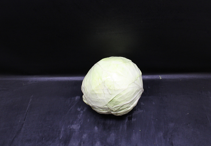 Witte Kool 7 st. JONG