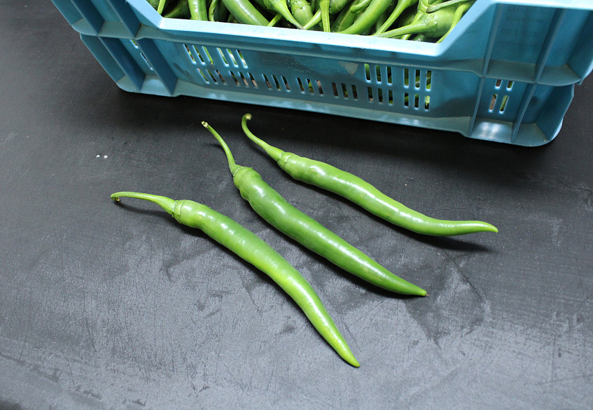 Peper Groen