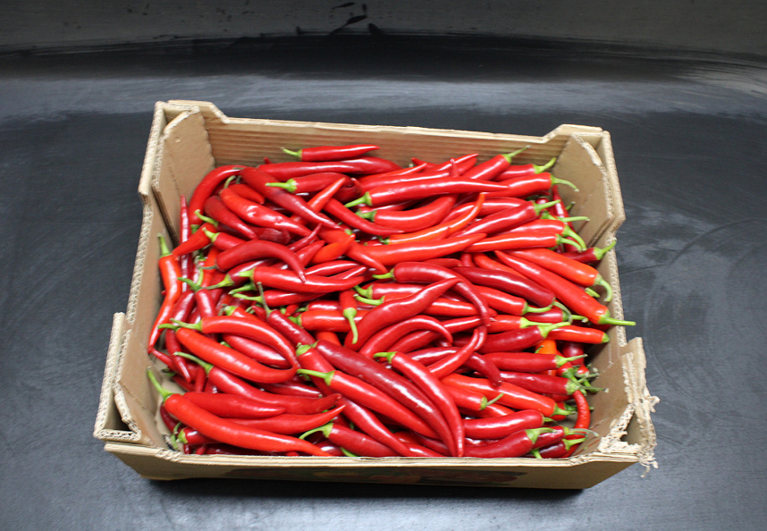 Peper Rood