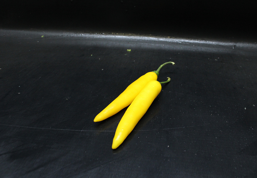 Peper Geel
