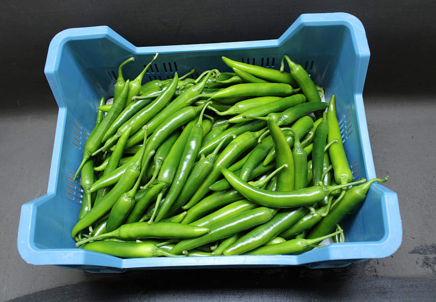 Peper Groen Supers