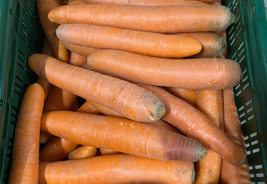 Winterpeen