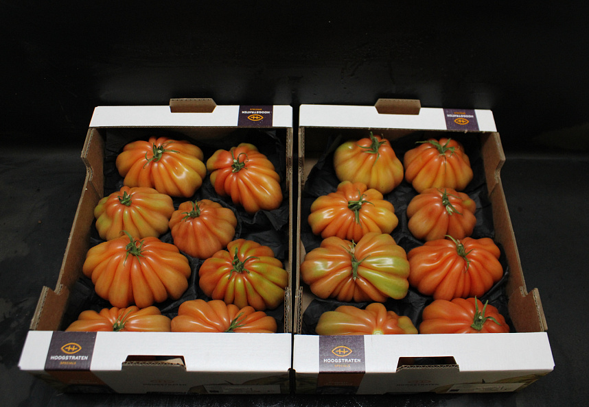 Tomaten Boeven 92+