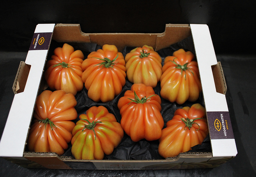 Tomaten Boeven 92+