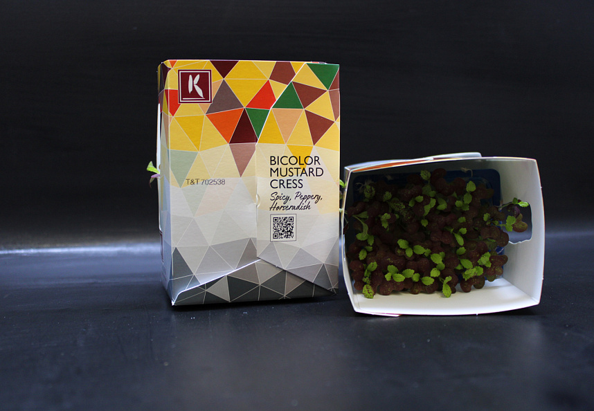 X Bicolor Mustard Single