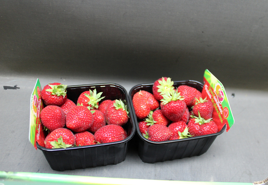 Aardbeien Falco