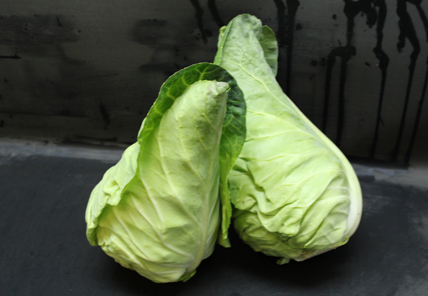 Spitskool 10kg.
