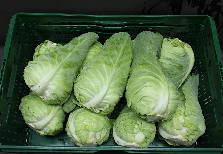 Spitskool 10kg.