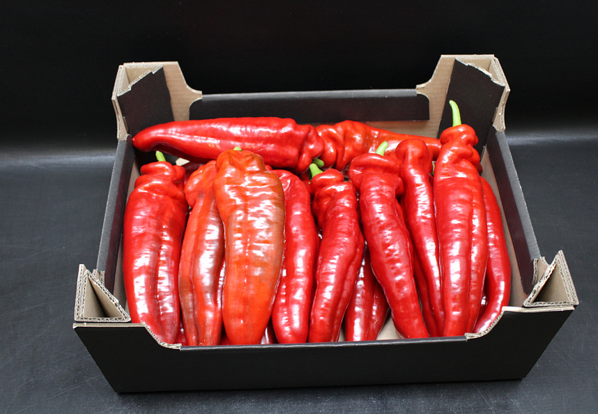 Paprika Punt Rood Supers