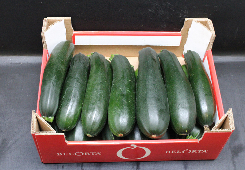 Courgettes supers doos