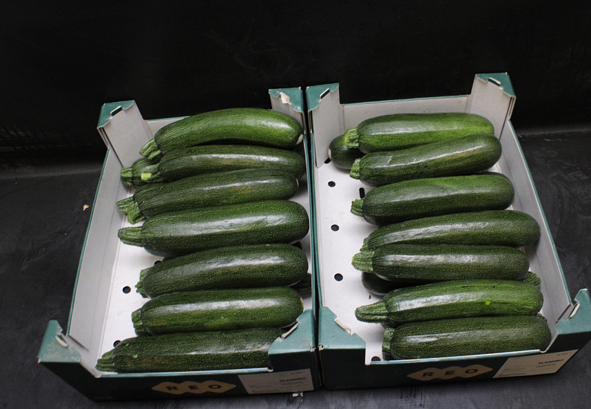 Courgette 14st Doos