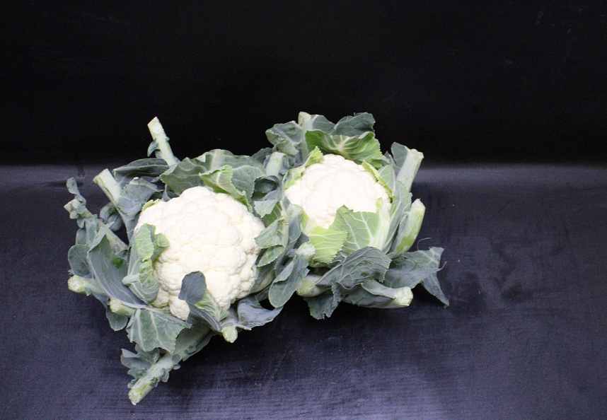 Bloemkool KAS