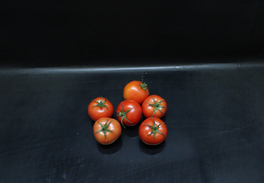 Tomaten A