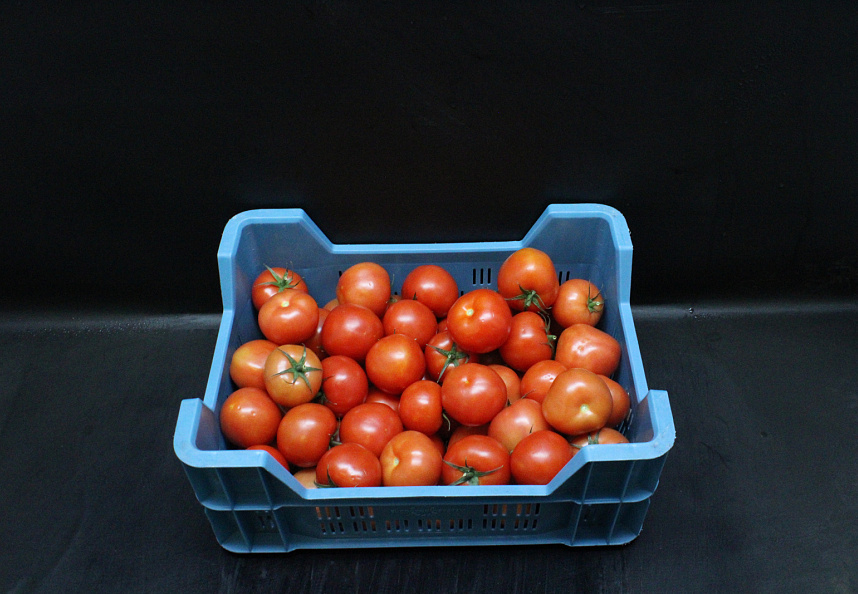 Tomaten A