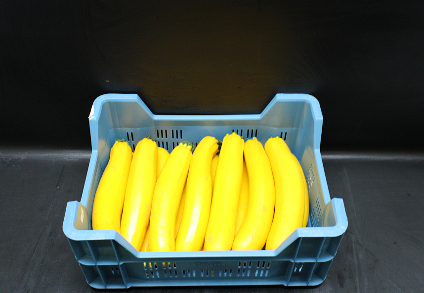 Courgettes Geel 1-2