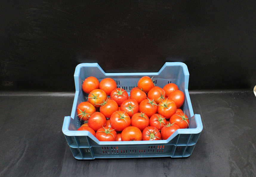 Tomaten B