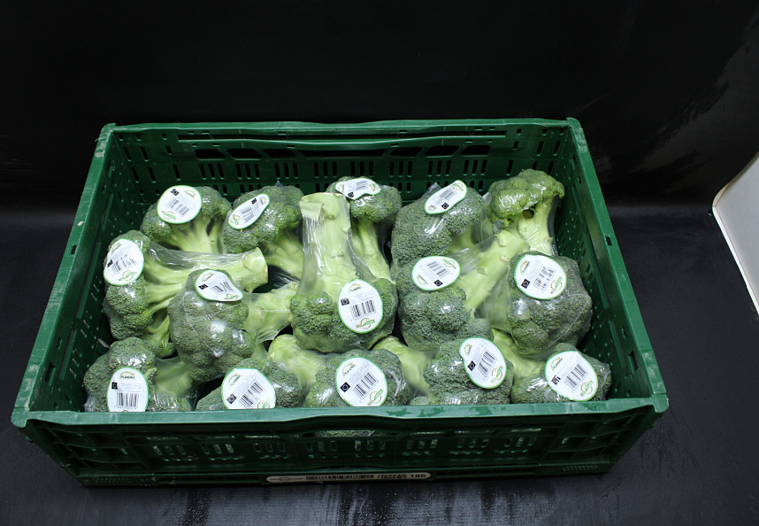 Broccoli 15 x 400 gr.