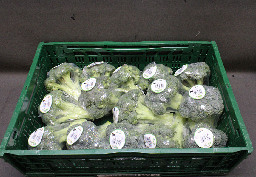 Broccoli 15 x 400 gr.