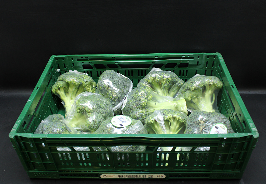 Broccoli 10 x 500 gr.