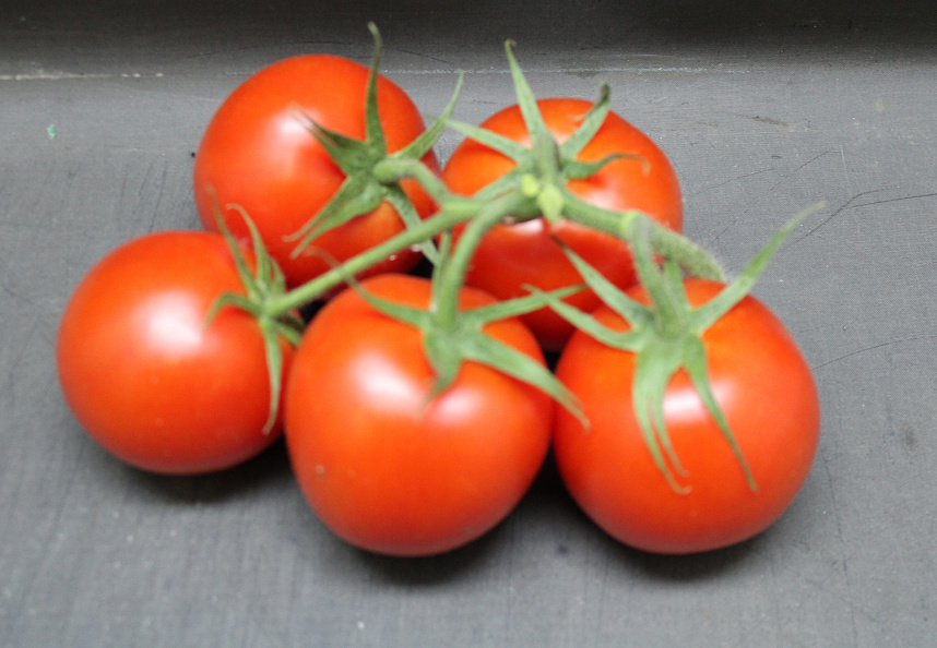 Tomaten Tros Tomabel DOOS