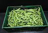 Tuinbonen Extra