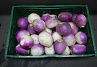 Meirapen Grof