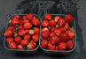 Aardbeien Elsanta