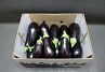 Aubergines 225 Supers