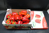 Paprika Rood 85