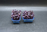 X Sakura Cress®