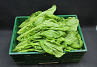 Amsoi