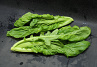 Amsoi