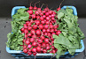 Radijs 15 bosjes