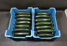 Courgettes 14 st. Kas