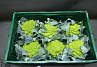 Bloemkool Romanesco 6 st.