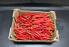 Peper Rood
