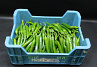 Peper Groen