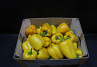 Paprika Geel Supers 85