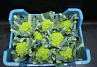 Bloemkool Romanesco