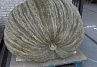 Pompoen Mega 590 kg